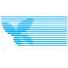 تاییدیه شاپرک